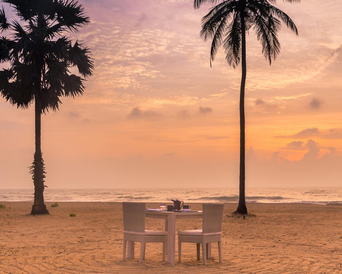 Jetwing Surf & Safari, A Luxury Reserve Arugam Bay Exterior foto